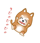 nobobi 柴わんこ（個別スタンプ：30）