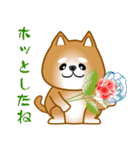 nobobi 柴わんこ（個別スタンプ：31）