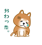 nobobi 柴わんこ（個別スタンプ：32）