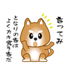 nobobi 柴わんこ（個別スタンプ：33）
