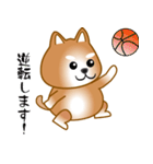 nobobi 柴わんこ（個別スタンプ：36）
