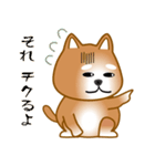 nobobi 柴わんこ（個別スタンプ：37）