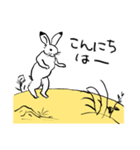 鳥獣戯画のうさぎとかえる（個別スタンプ：5）