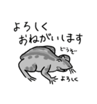 鳥獣戯画のうさぎとかえる（個別スタンプ：25）