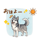 元気いっぱい！ハスキーの日常スタンプ（個別スタンプ：1）