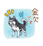 元気いっぱい！ハスキーの日常スタンプ（個別スタンプ：10）