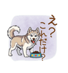 元気いっぱい！ハスキーの日常スタンプ（個別スタンプ：20）