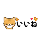日常で使えるスタンプ☆by幸せ黄トラ猫（個別スタンプ：5）