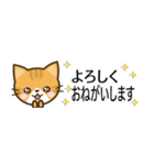 日常で使えるスタンプ☆by幸せ黄トラ猫（個別スタンプ：13）