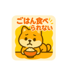 夏バテあるある〜芝犬の夏のぼやき〜（個別スタンプ：13）