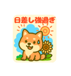 夏バテあるある〜芝犬の夏のぼやき〜（個別スタンプ：15）