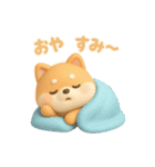 もちもち柴犬【毎日使える3Dスタンプ】（個別スタンプ：3）