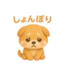 もちもち柴犬【毎日使える3Dスタンプ】（個別スタンプ：19）