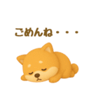 もちもち柴犬【毎日使える3Dスタンプ】（個別スタンプ：24）