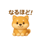 もちもち柴犬【毎日使える3Dスタンプ】（個別スタンプ：30）