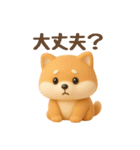 もちもち柴犬【毎日使える3Dスタンプ】（個別スタンプ：31）