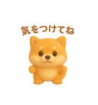 もちもち柴犬【毎日使える3Dスタンプ】（個別スタンプ：40）