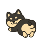 ゆる黒柴【文字なし】日常編（個別スタンプ：6）