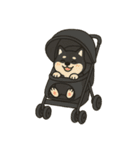 ゆる黒柴【文字なし】日常編（個別スタンプ：7）