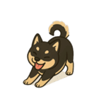 ゆる黒柴【文字なし】日常編（個別スタンプ：14）