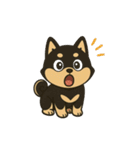 ゆる黒柴【文字なし】日常編（個別スタンプ：15）
