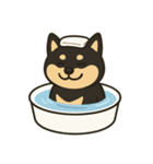 ゆる黒柴【文字なし】日常編（個別スタンプ：16）