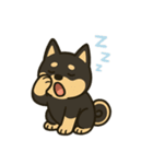 ゆる黒柴【文字なし】日常編（個別スタンプ：21）