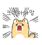 猫の感情大爆発日記（個別スタンプ：1）