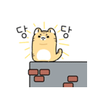 猫の感情大爆発日記（個別スタンプ：12）