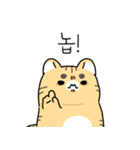 猫の感情大爆発日記（個別スタンプ：22）