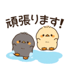 飛び出す♪もっちりヒヨコ兄弟（梅雨）（個別スタンプ：6）