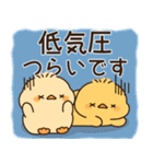 飛び出す♪もっちりヒヨコ兄弟（梅雨）（個別スタンプ：13）