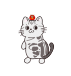 アメショのちろちゃんとお友達（個別スタンプ：1）