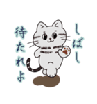 アメショのちろちゃんとお友達（個別スタンプ：7）