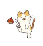 アメショのちろちゃんとお友達（個別スタンプ：9）