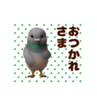踊る！鳥類/鳥人/とり/トリ/バード/ひよこ（個別スタンプ：5）
