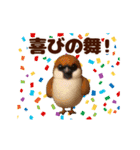 踊る！鳥類/鳥人/とり/トリ/バード/ひよこ（個別スタンプ：11）