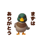 踊る！鳥類/鳥人/とり/トリ/バード/ひよこ（個別スタンプ：18）