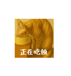 小花と吉利の日常スタンプ（台湾華語）（個別スタンプ：5）