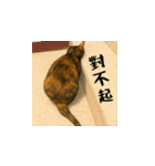 小花と吉利の日常スタンプ（台湾華語）（個別スタンプ：8）