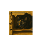 小花と吉利の日常スタンプ（台湾華語）（個別スタンプ：12）