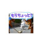 街ぐるみ計画①（個別スタンプ：2）