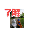 街ぐるみ計画①（個別スタンプ：10）