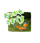 街ぐるみ計画①（個別スタンプ：14）