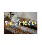街ぐるみ計画①（個別スタンプ：18）
