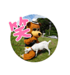街ぐるみ計画①（個別スタンプ：30）