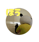 街ぐるみ計画①（個別スタンプ：35）