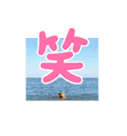 街ぐるみ計画①（個別スタンプ：38）