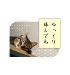 ユルイ1日（個別スタンプ：8）
