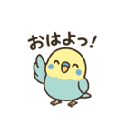 セキセイインコのしゅわちゃん（個別スタンプ：1）